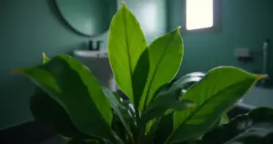 Plantas para Banheiro Sem Janela: Oásis Verde em 2026!