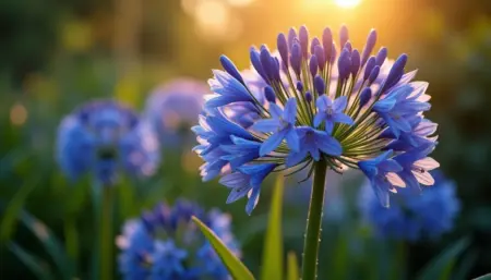 Agapanto: Como Cultivar a Flor do Amor sem Erro (Guia Prático) Agapanto: Como Cultivar a Flor do Amor sem Erro (Guia Prático)